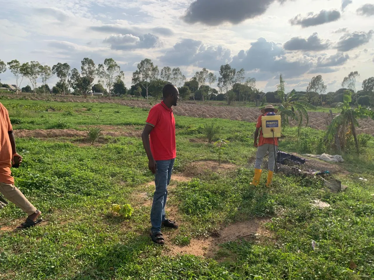 TechAgroBridge team documenting a real agricultural field operation in Niger State, Nigeria